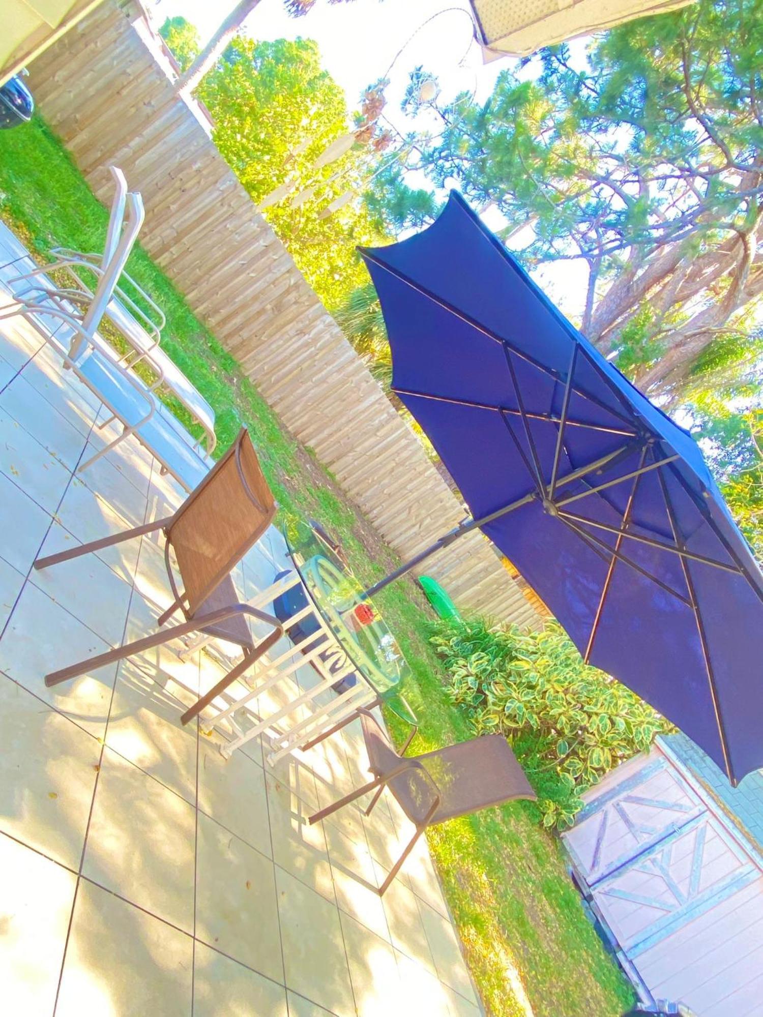 Cozy Studio Only 10 Minutes By Car Of Siesta Key Sarasota Exteriér fotografie